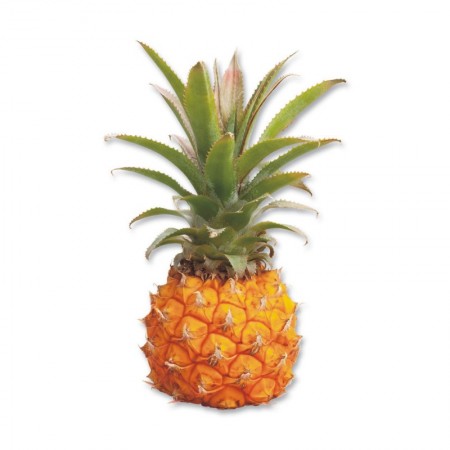 Ananas Baby