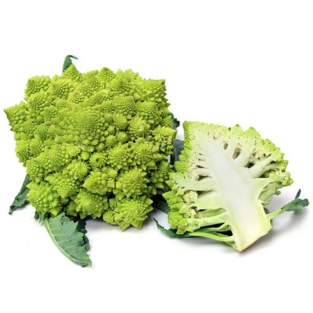 Conopida Romanesco