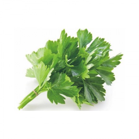 Coriandru