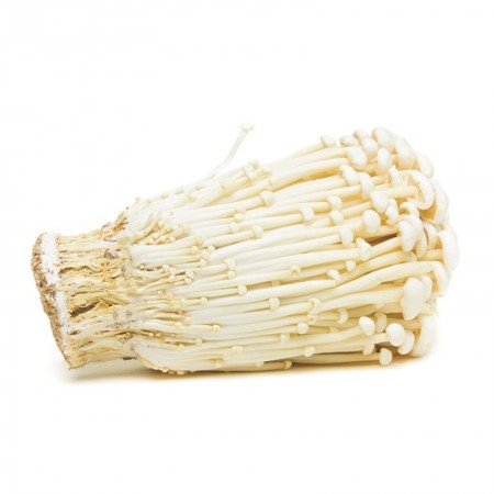 Enoki White