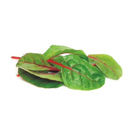Salata Red Chard