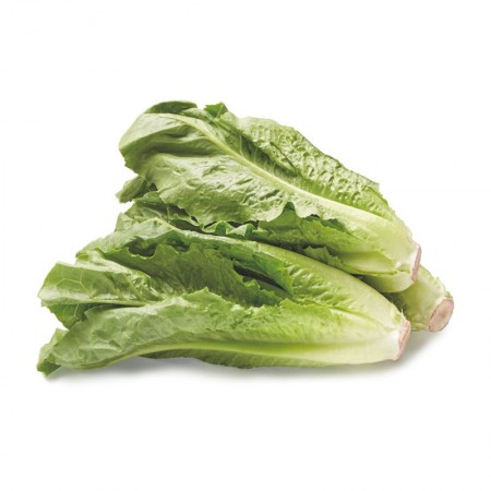 Salata Romana (Koss)